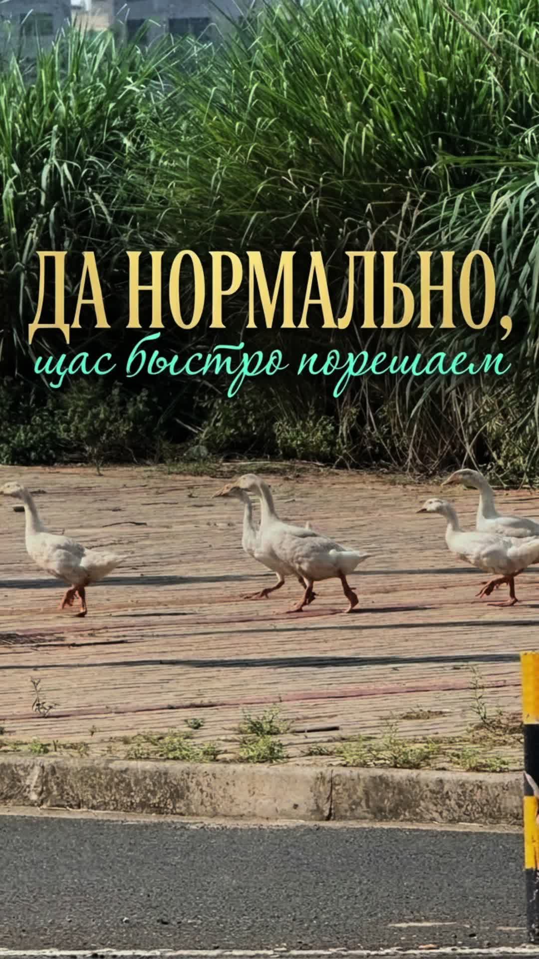 @Политова Анна Китай