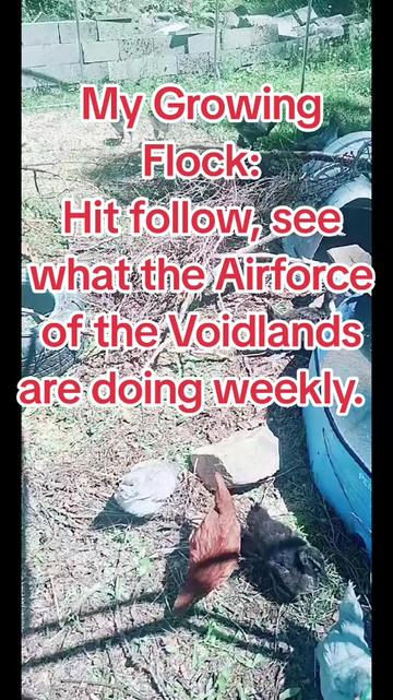 @thevoidlands
