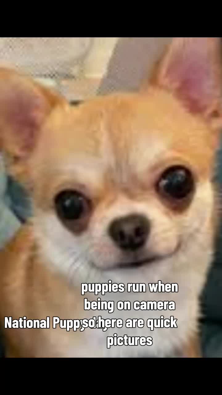 @Jen Jones