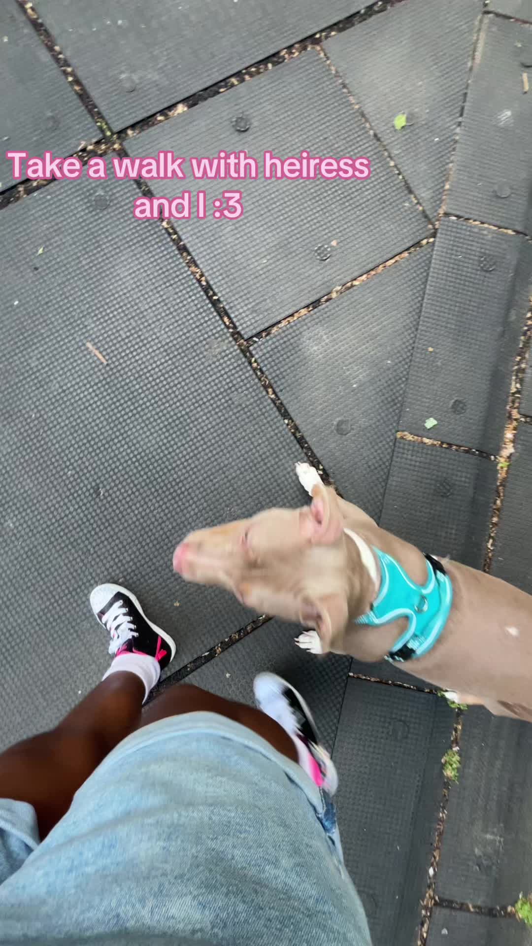 @TheCyb3rCh1ck