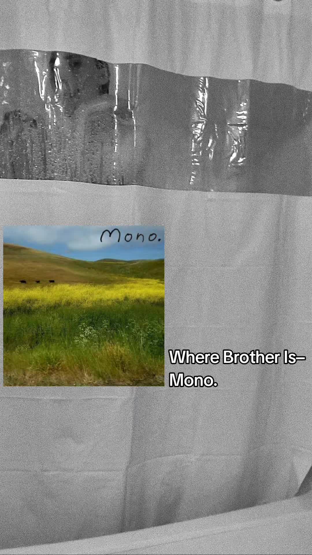 @Mono.