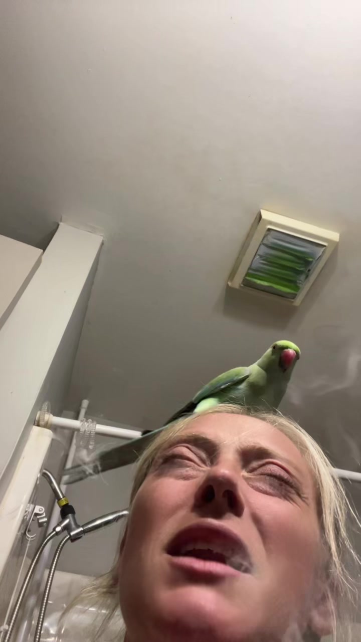 @Marley