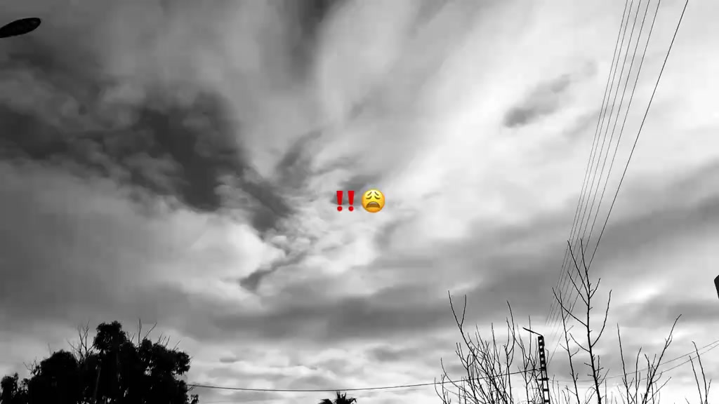 @بث مباشر الان