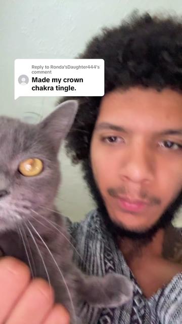 @drealswizard