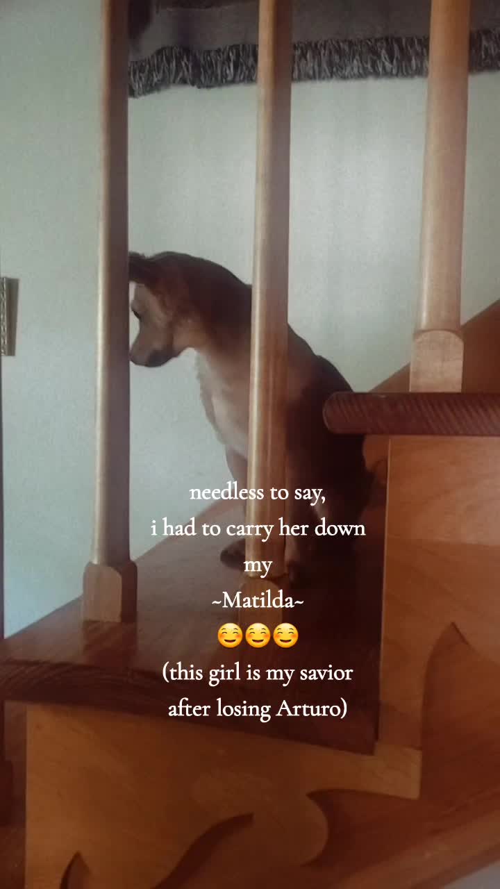 @kjones3950