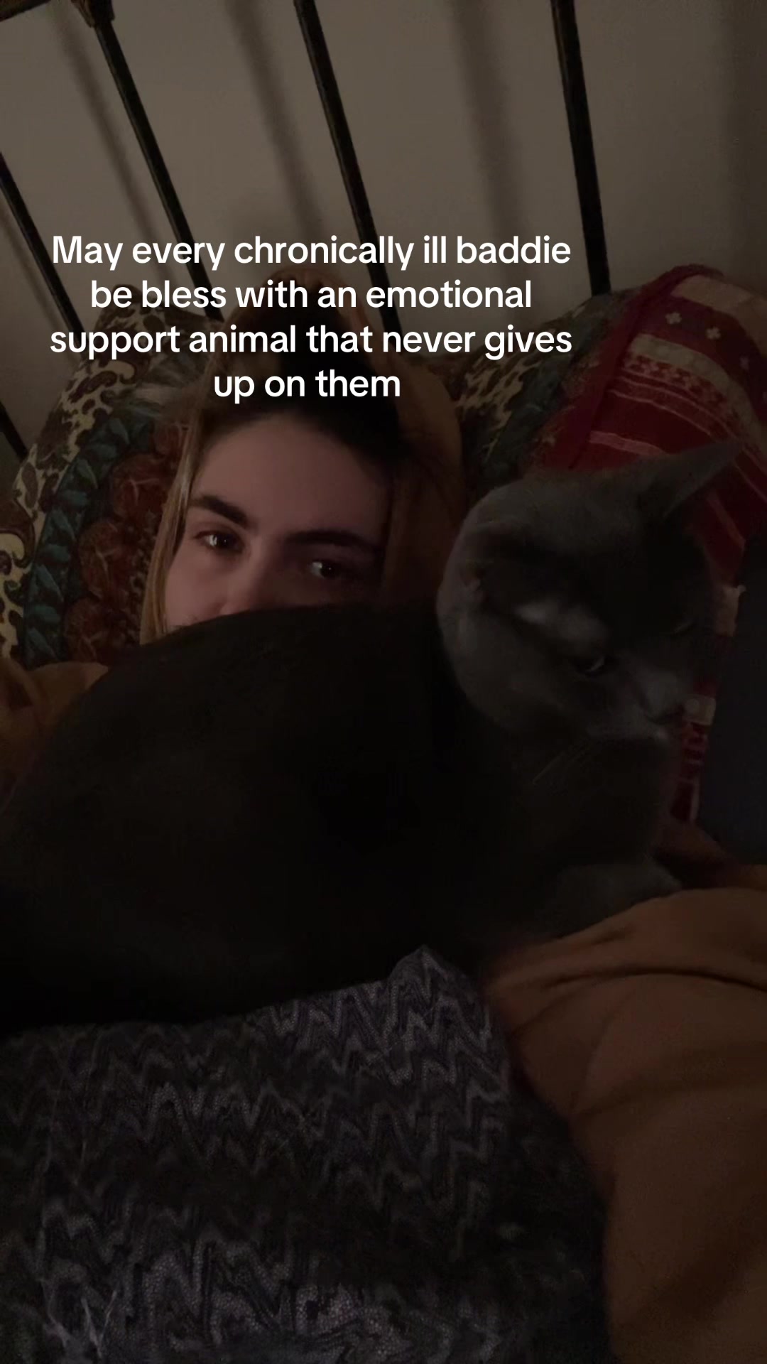 @ChronicallyBi 🌈♿️🍉