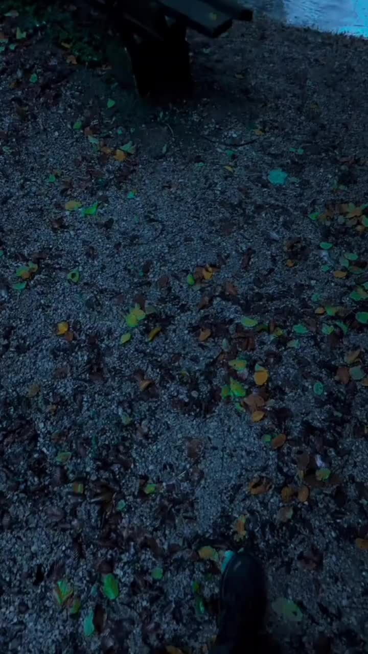 @Alexa ♥️