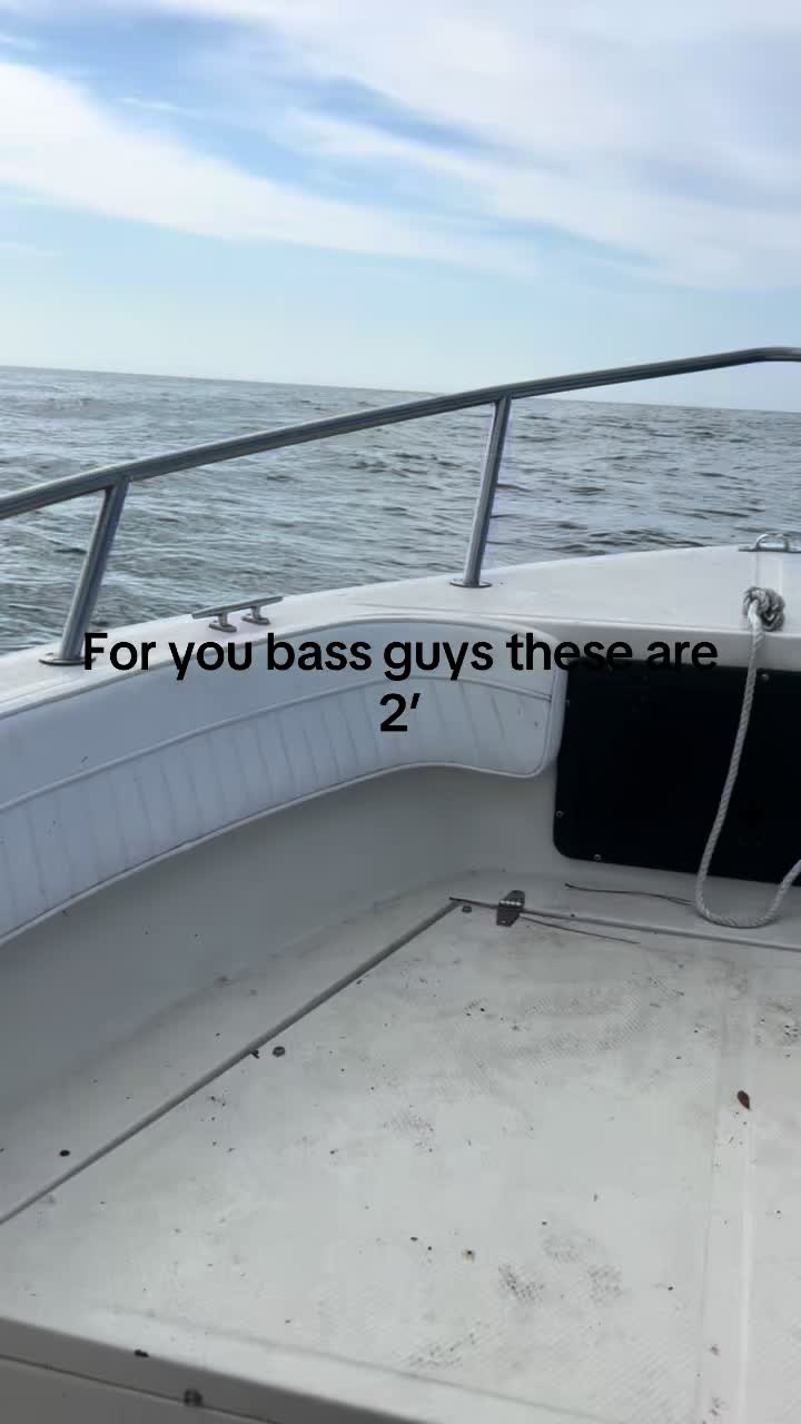 @Michael Edwards