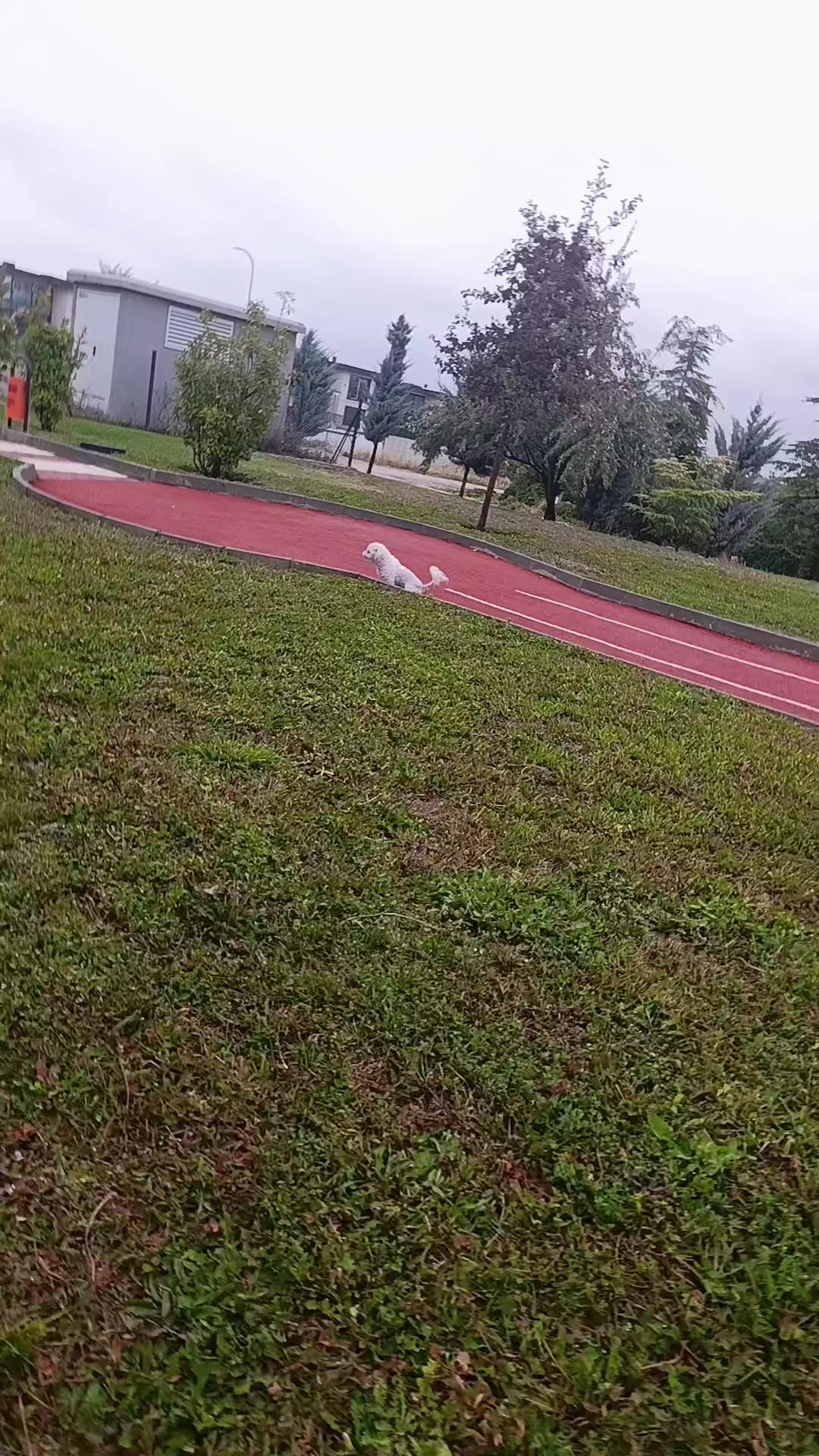 @derya ablanız