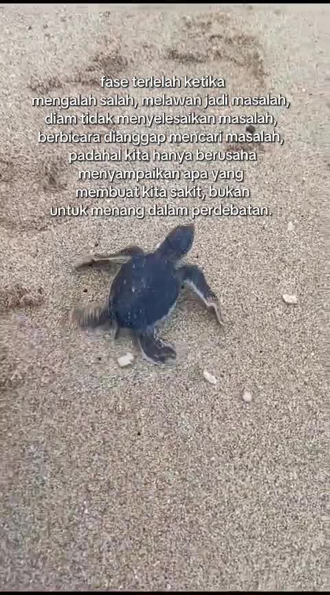 @Senja Syahdu
