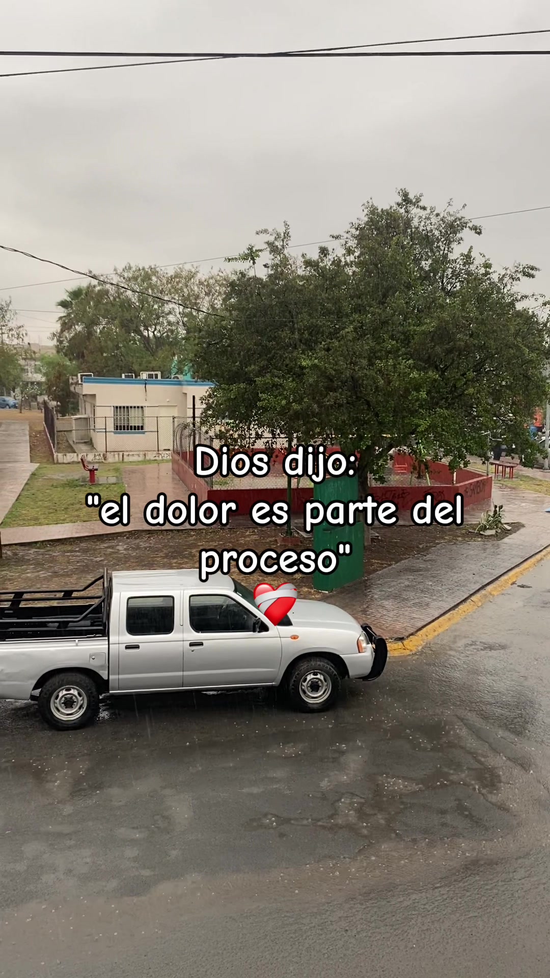 @El Chuy 🐣