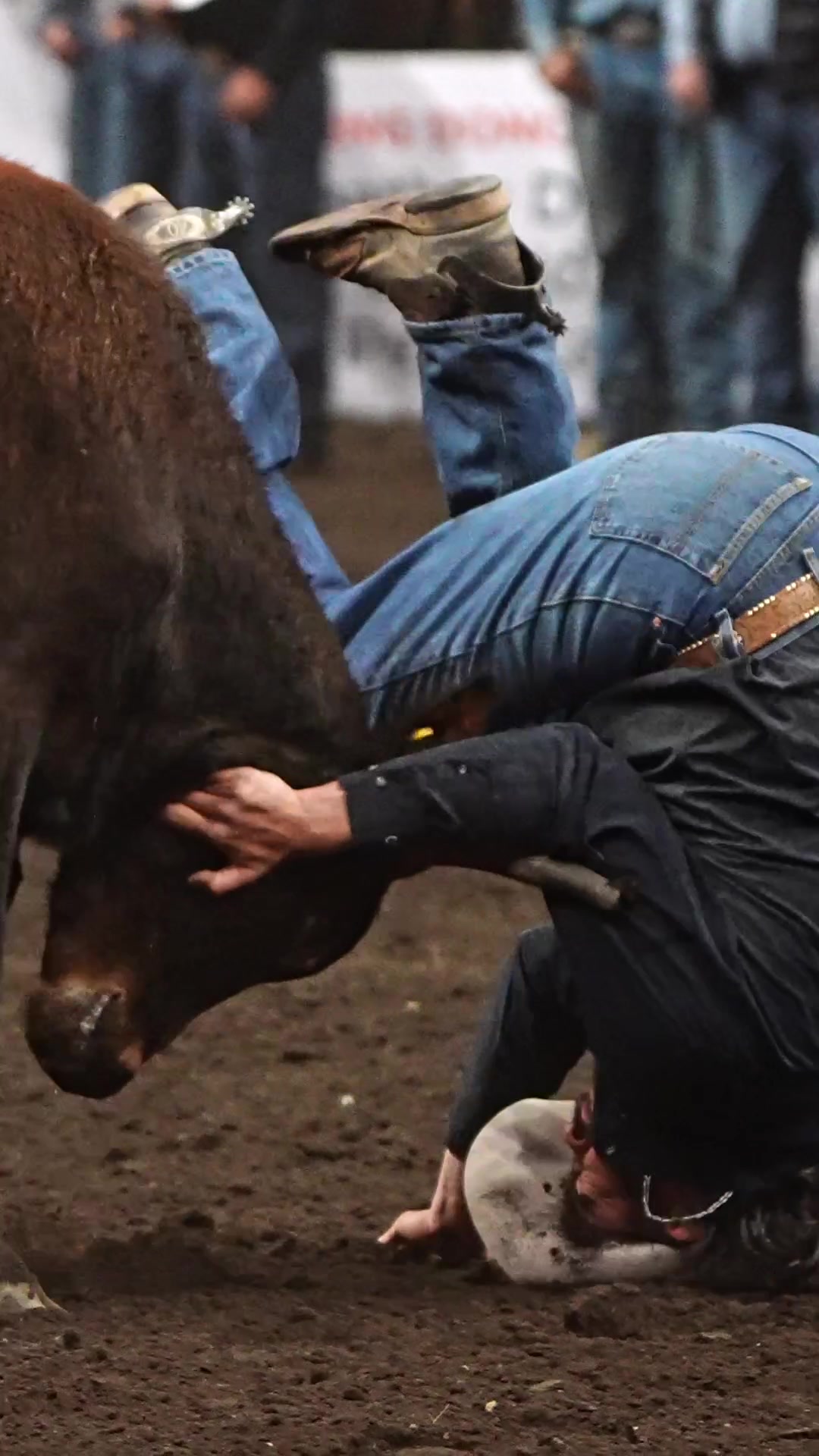 @Hanginghorses