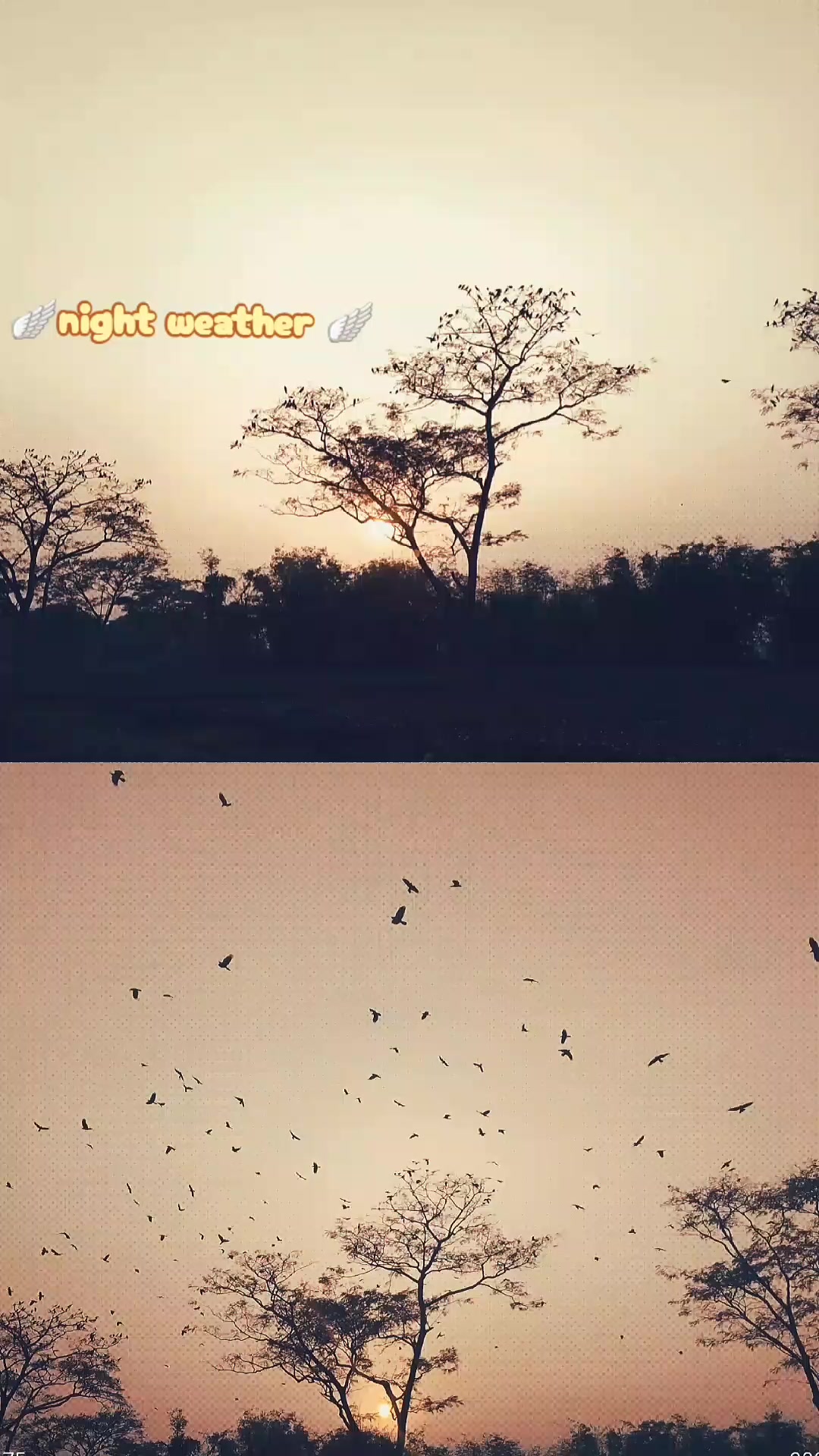 @『ᴹʀ』🅿🆁🅰🅹🆆🅰🅻 JI..&clubs;&spades;