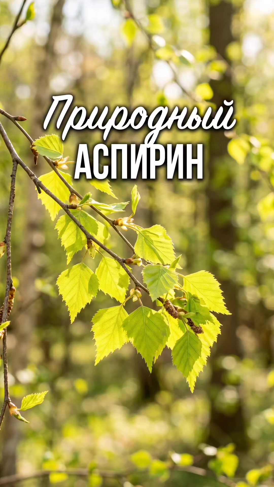 @ЗОЖнавигатор