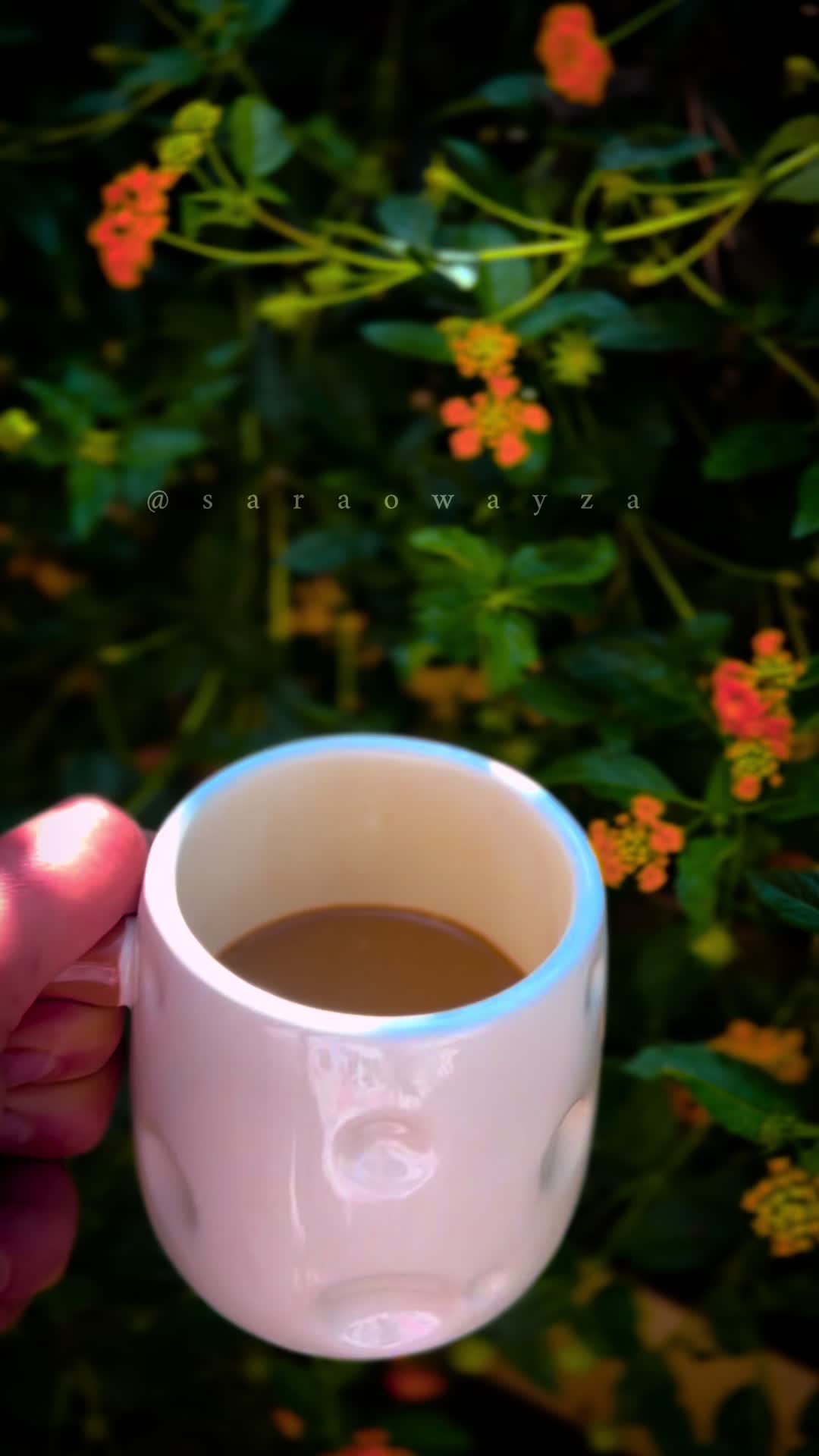 @༺S A R A༻