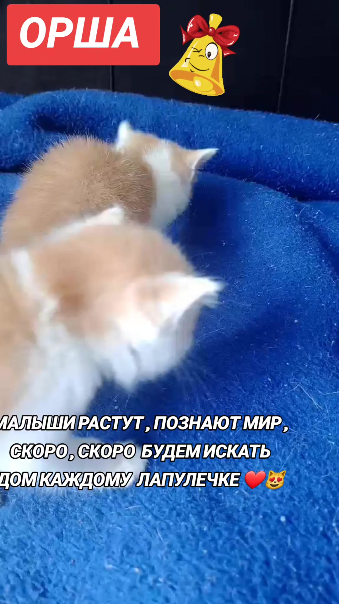 @marinka20_09