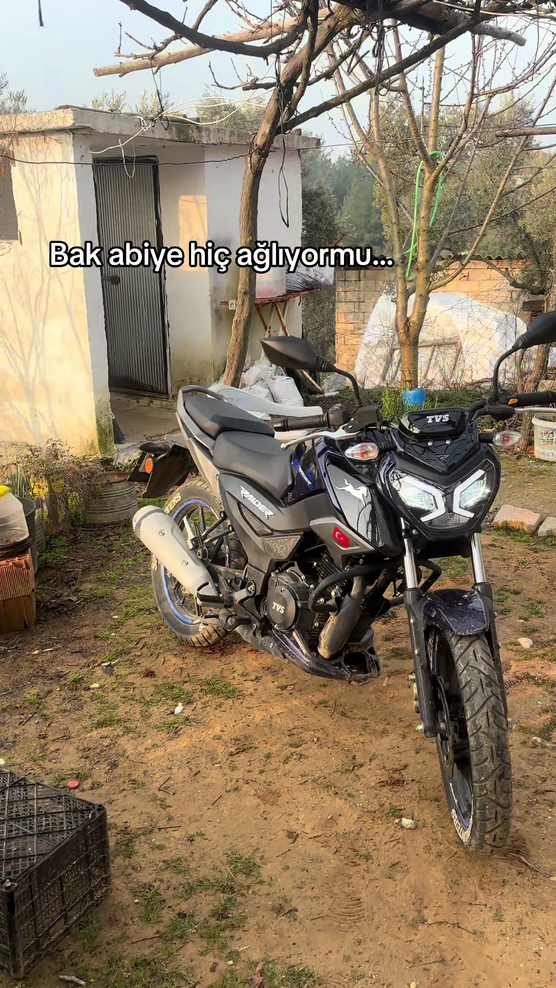 @Tayfun 