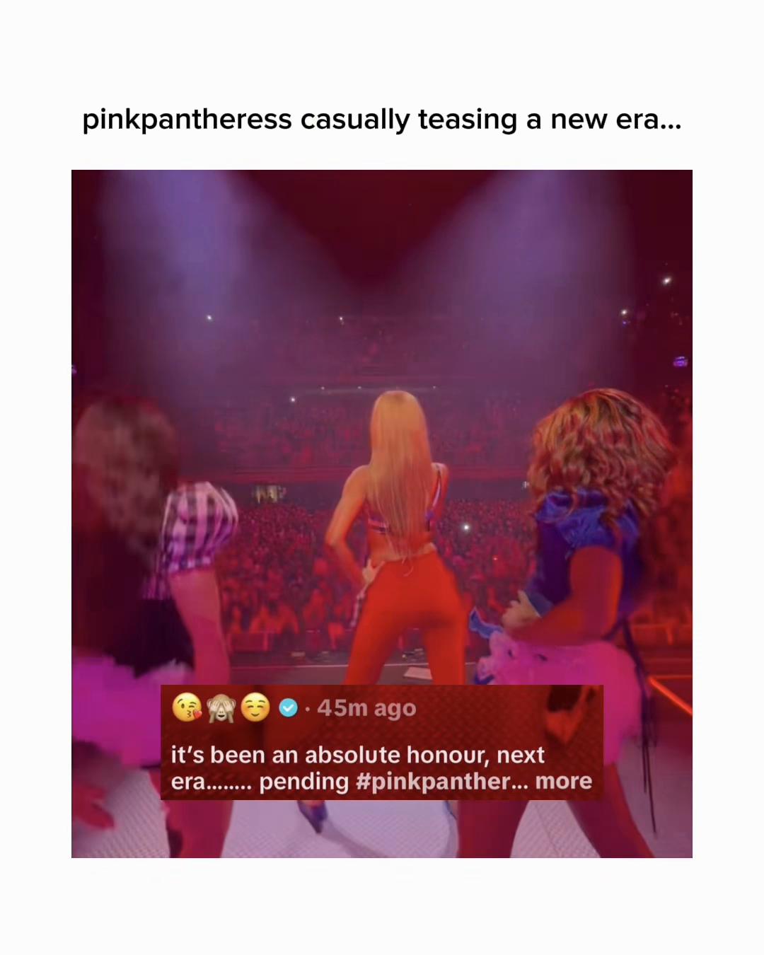 @pinkpantheress fan