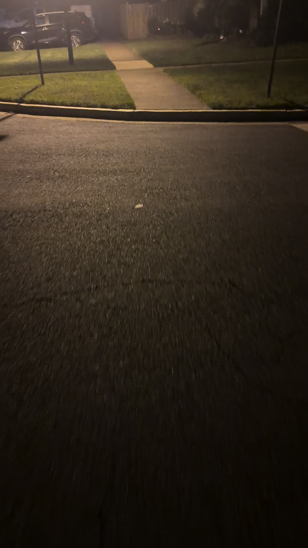 @Transportador
