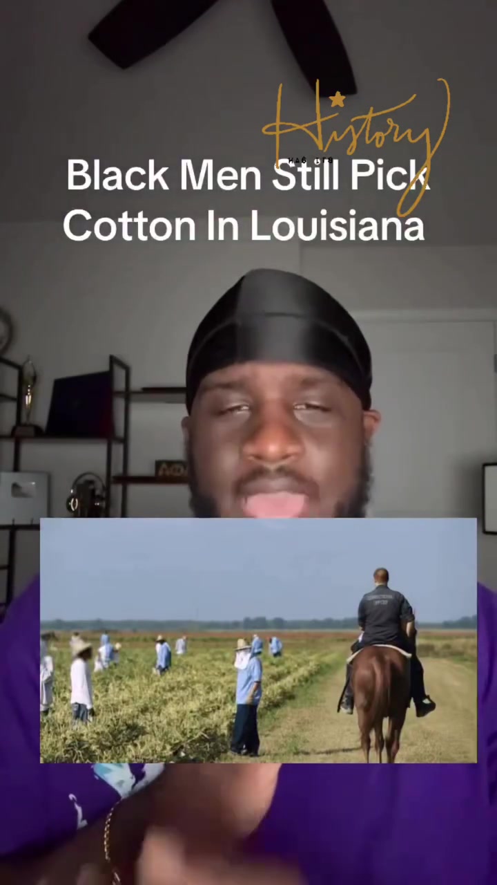 @Stonetaylor