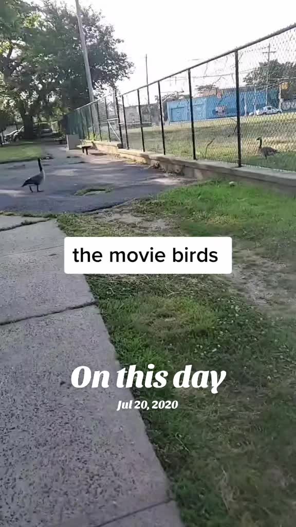 @RobNTheCulture