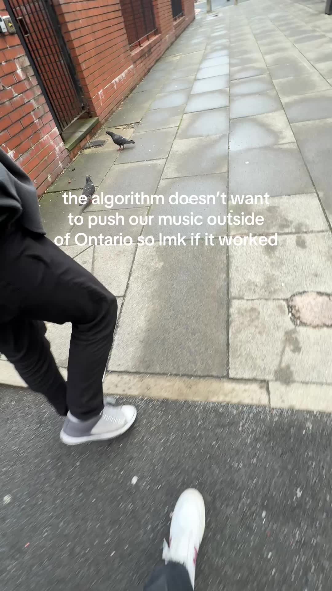 @BLEEKER