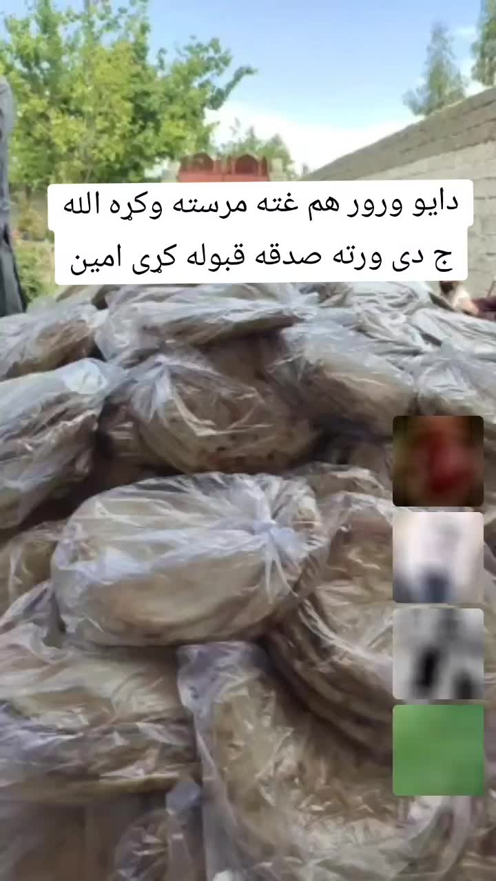 @majahidniazai