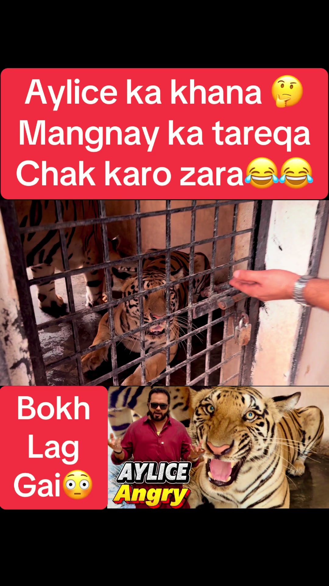 @Mian saqib