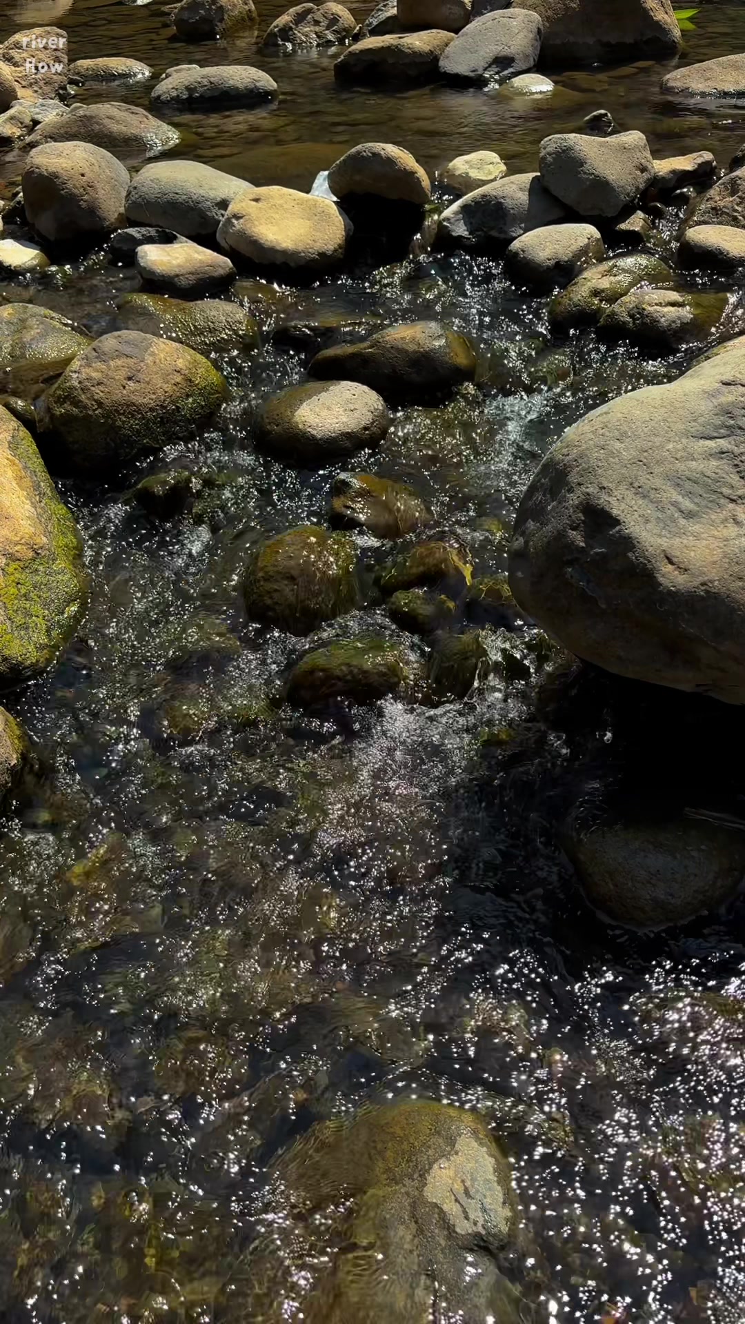 @River Flow