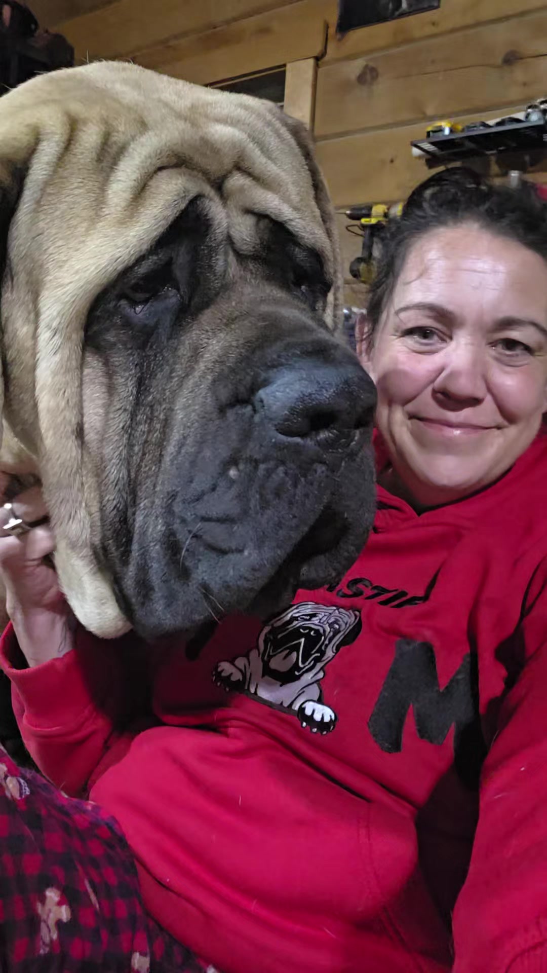 @Maple Mastiffs