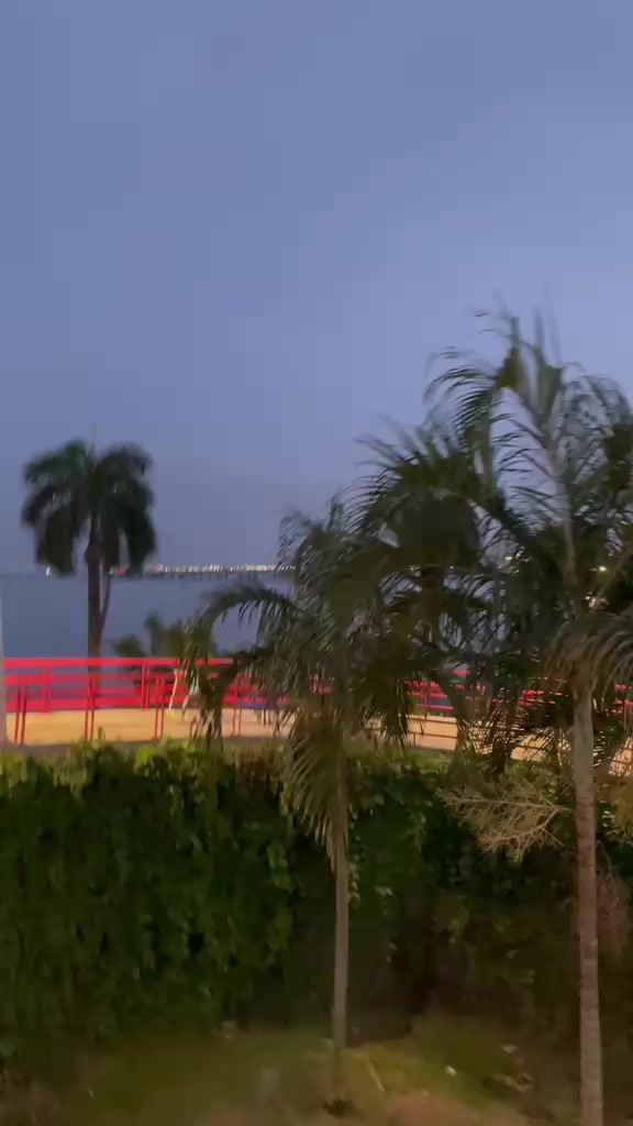 @𝓓𝓪𝓵𝓵𝔂'𝓼𝓛𝓡💥💫