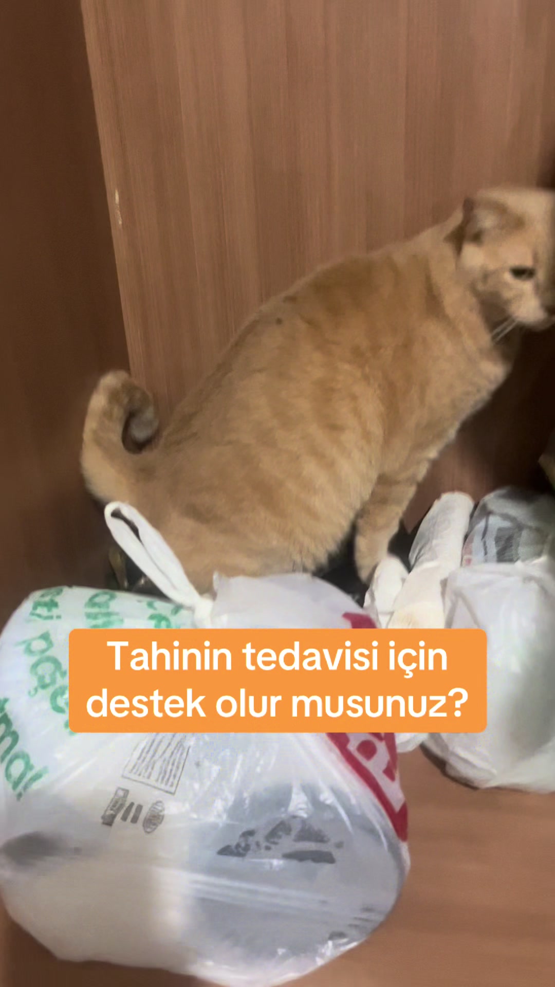 @Yesiminpatileri61