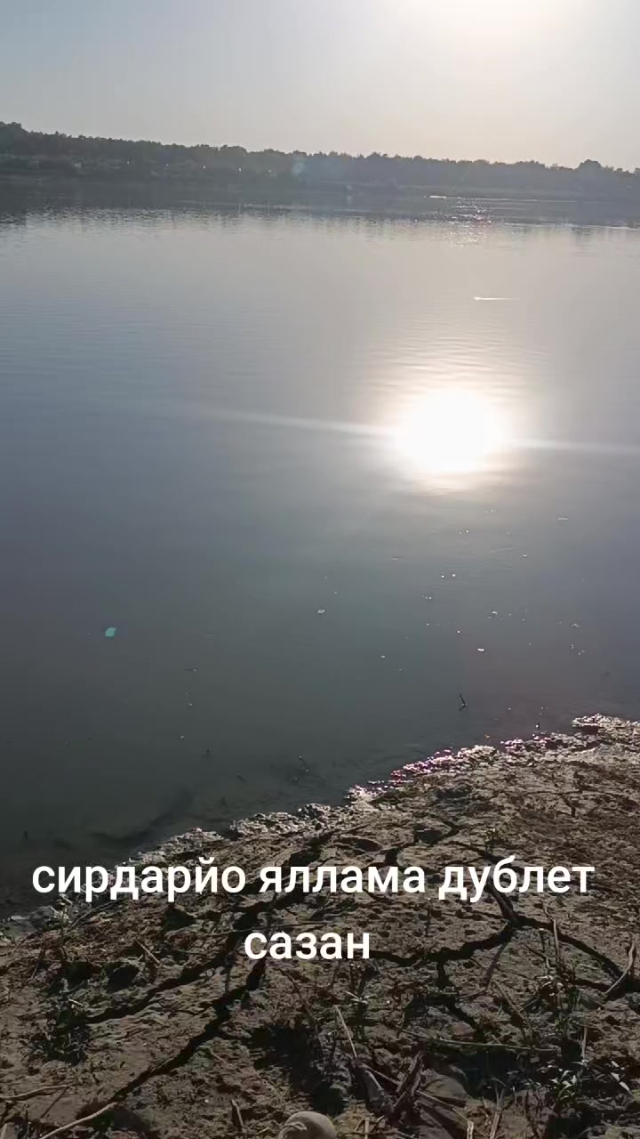 @uzfisher | Baliqovi |