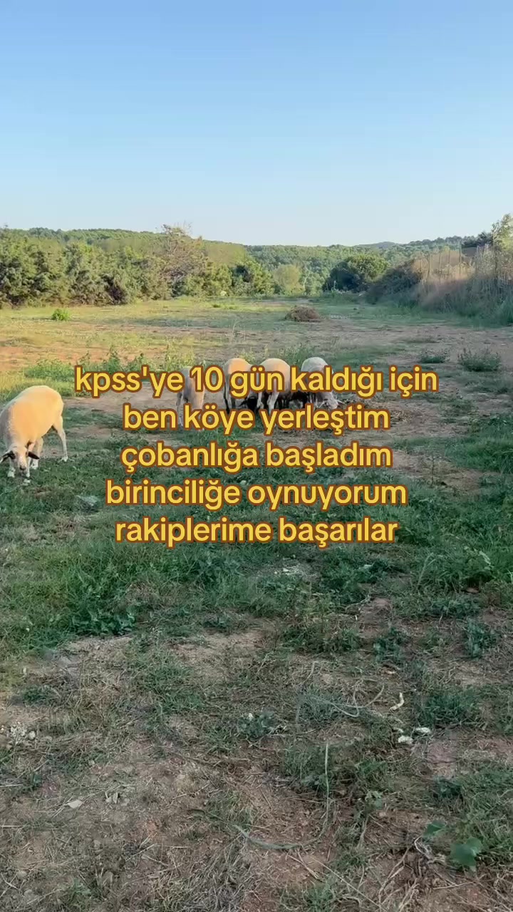 @sıla🦦