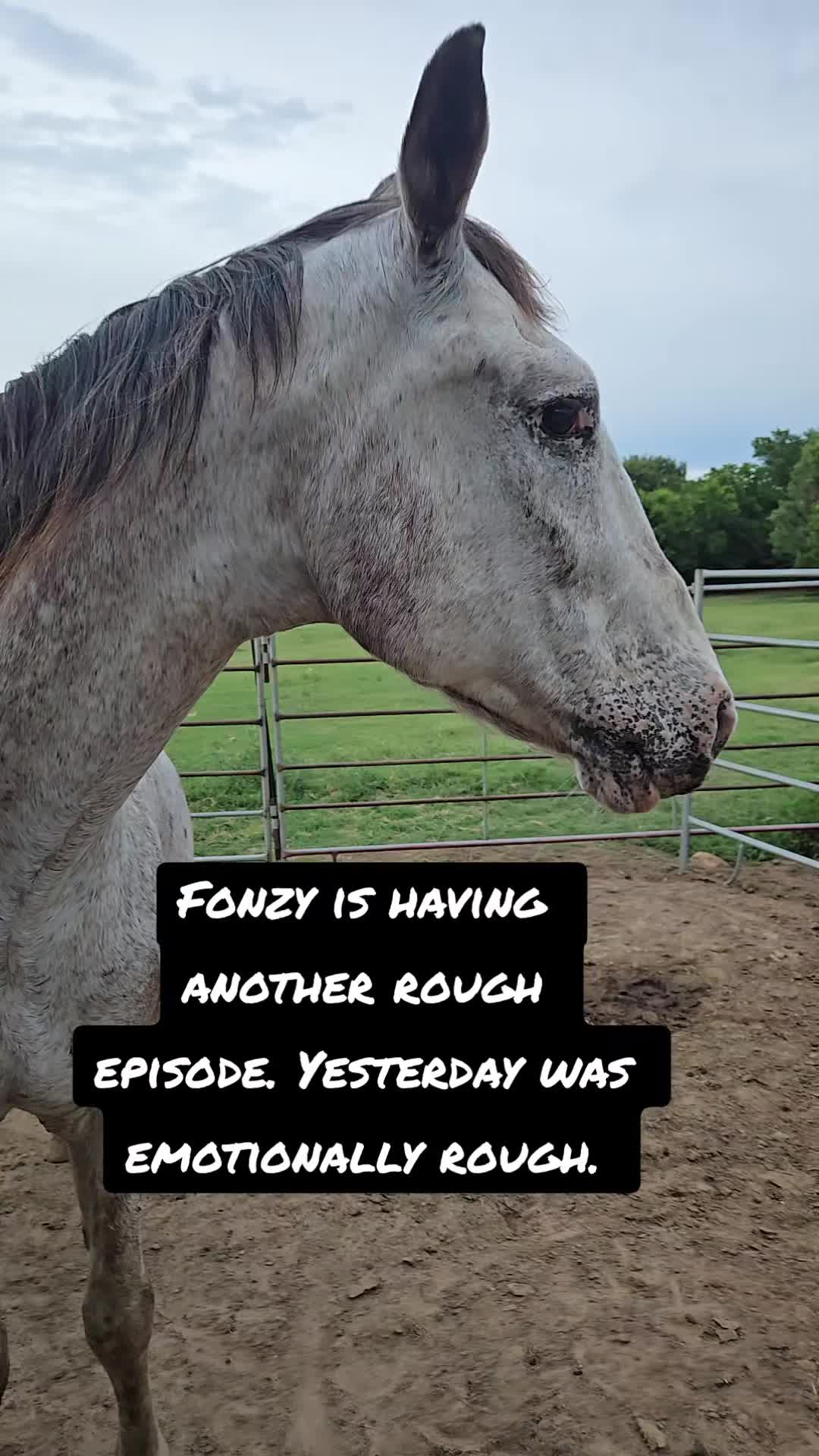 @Fonzy's Farm Rehab & Sanctuary