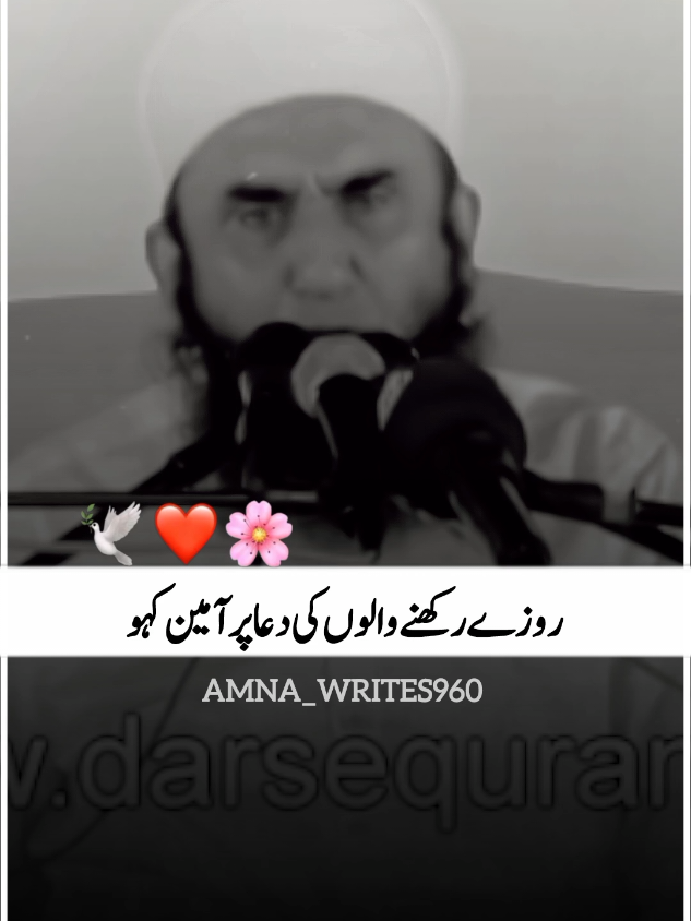 @Amna_writes