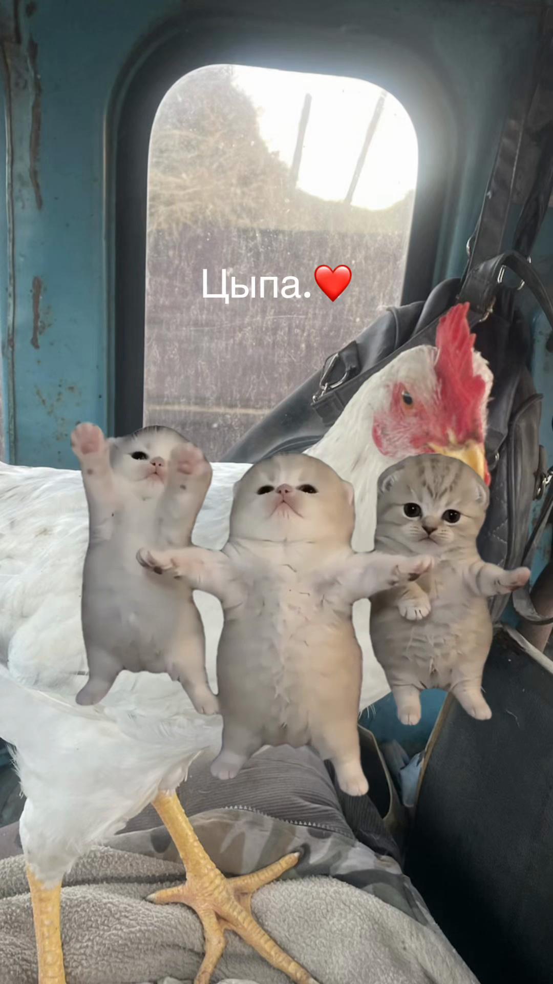 @Я фиксирую