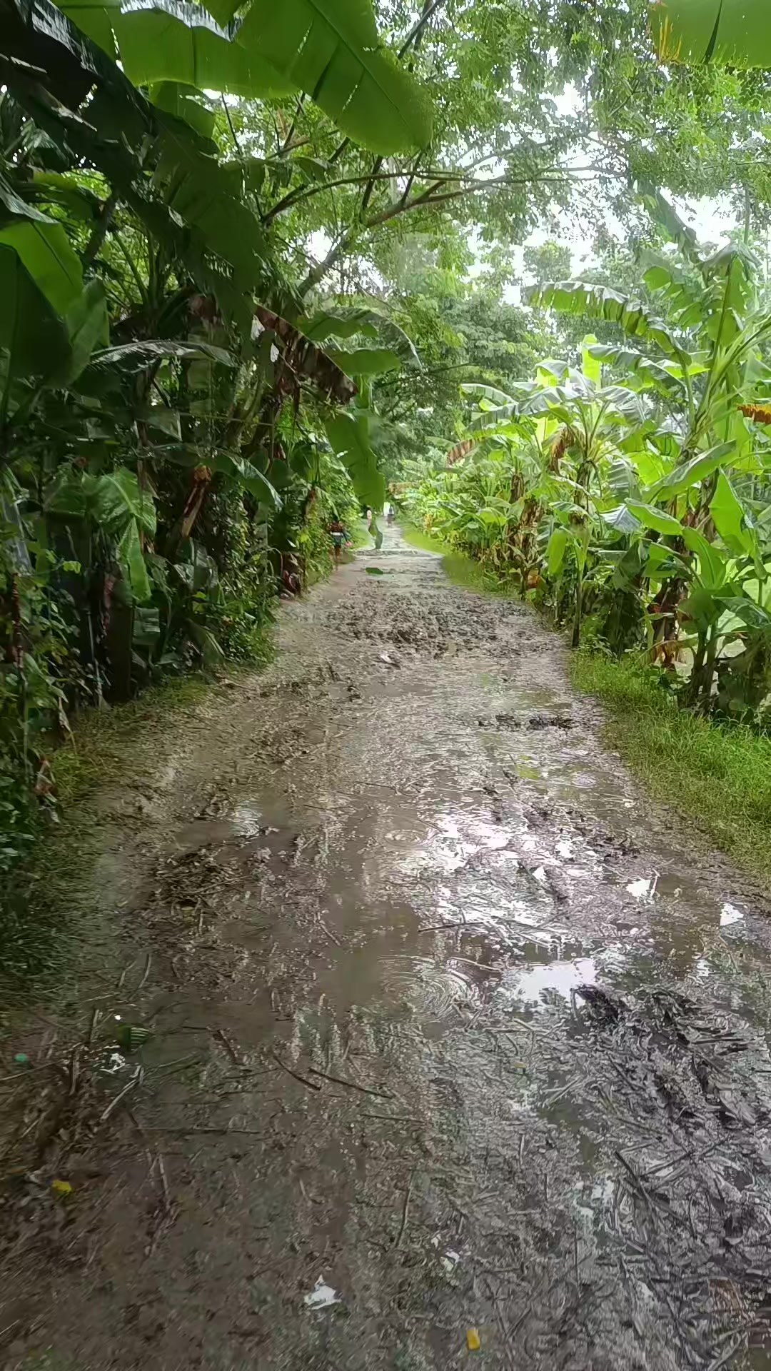 @,,, 🚩ছোট নবাব, 💫,,