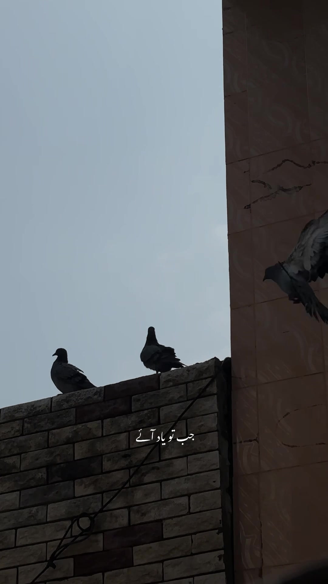 @م؟