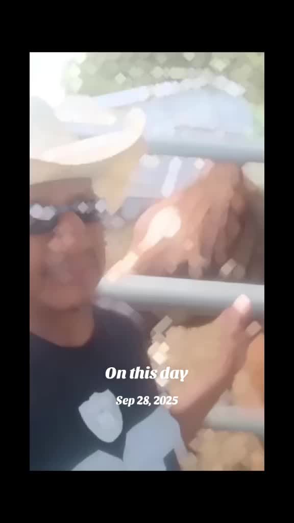 @Wolfpack