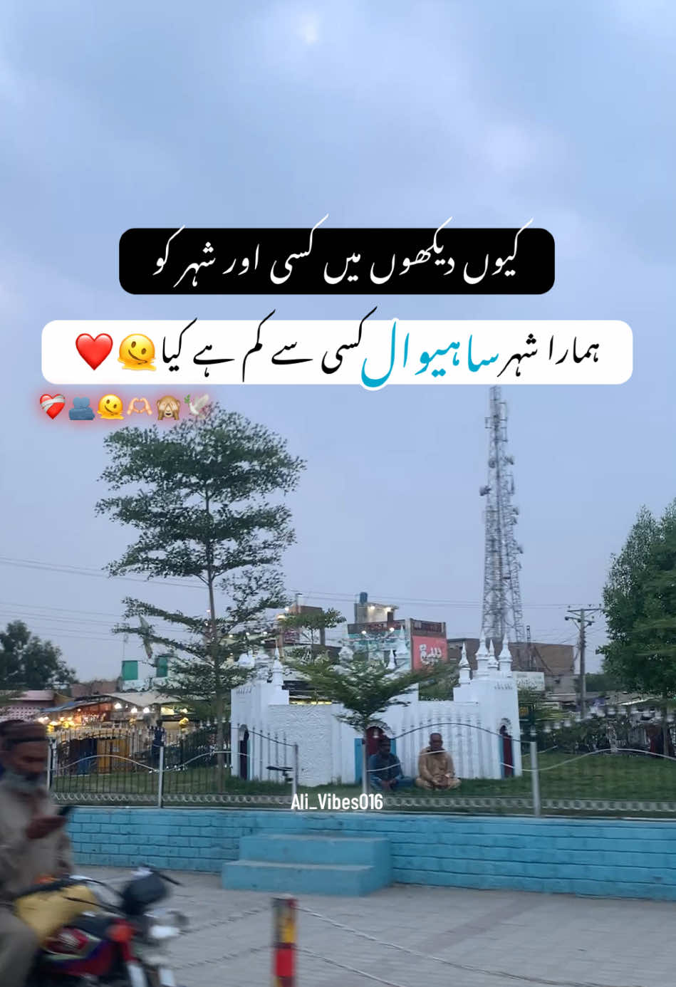 @Ali_Vibes016