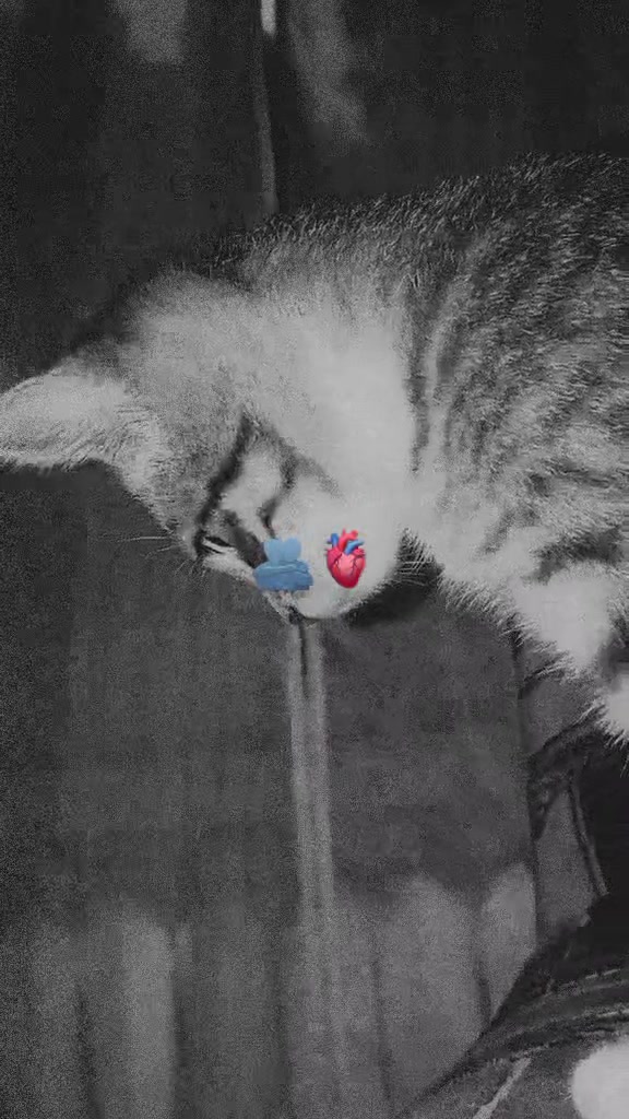 @🥹🫂vascha_problema🥹🫂