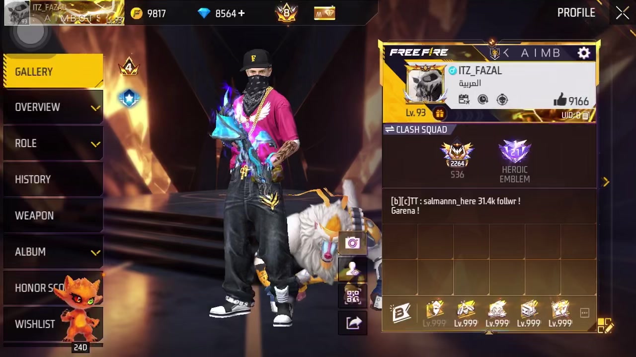 @SLAYER FF ?