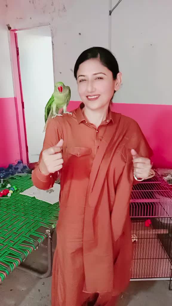 @shabnamkhan5000