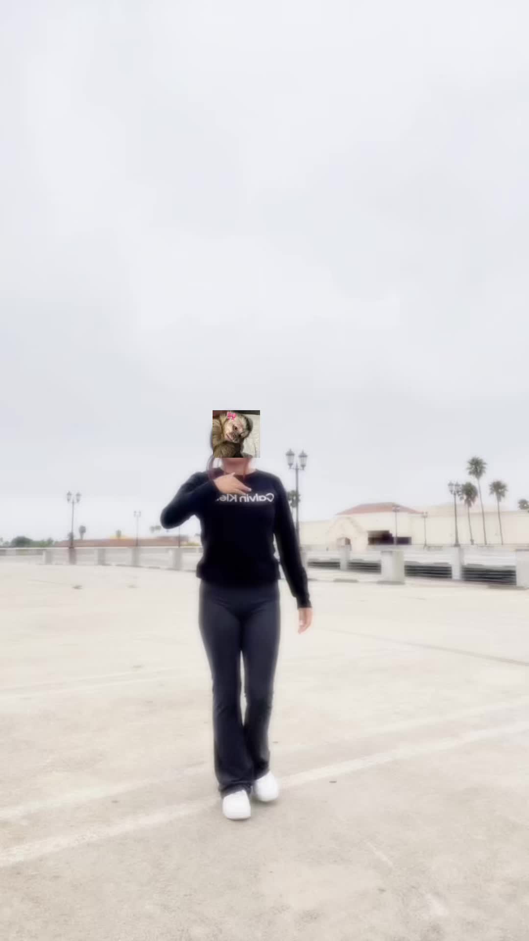 @ᥫ᭡