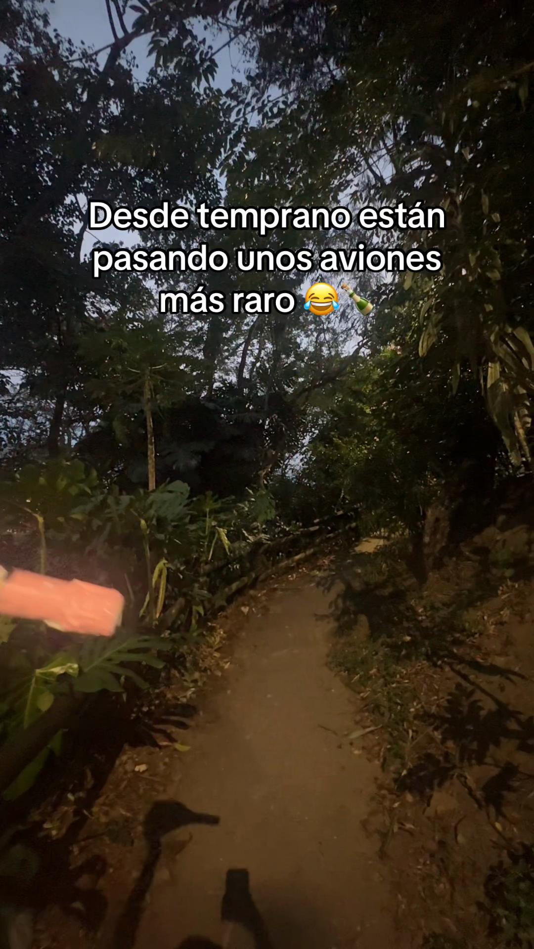 @Alejandra Oviedo