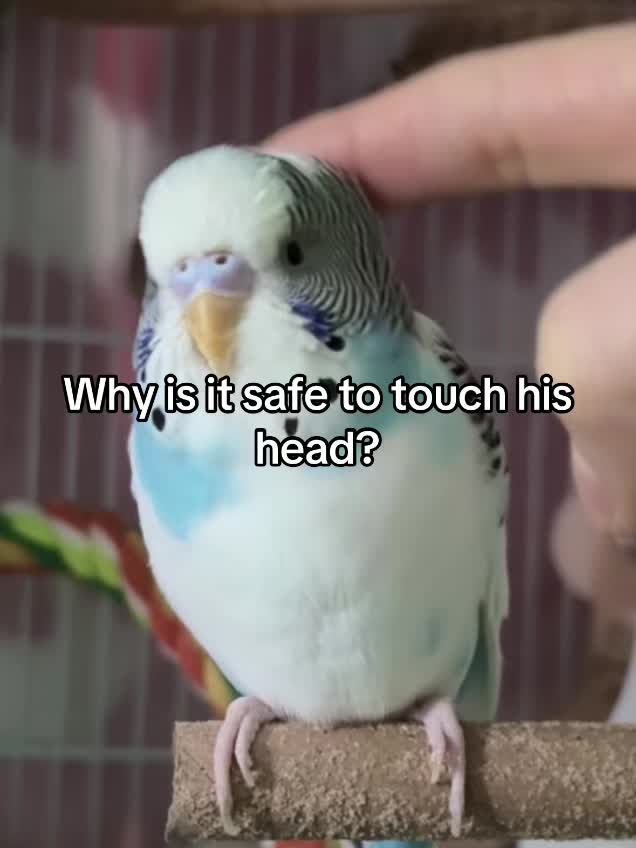 @Tiny Tweets