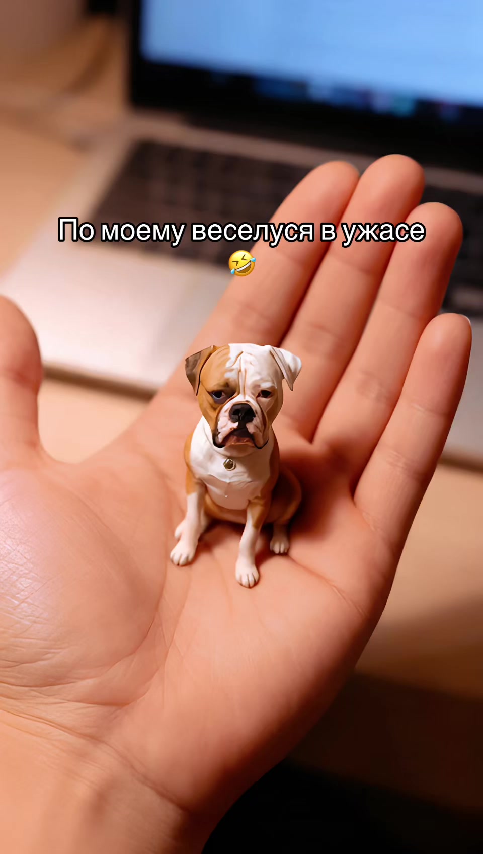 @tata
