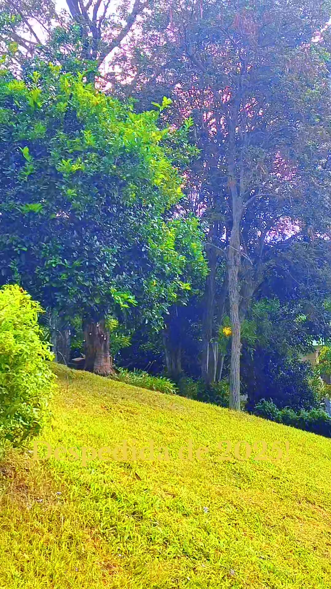 @Brasil 1500
