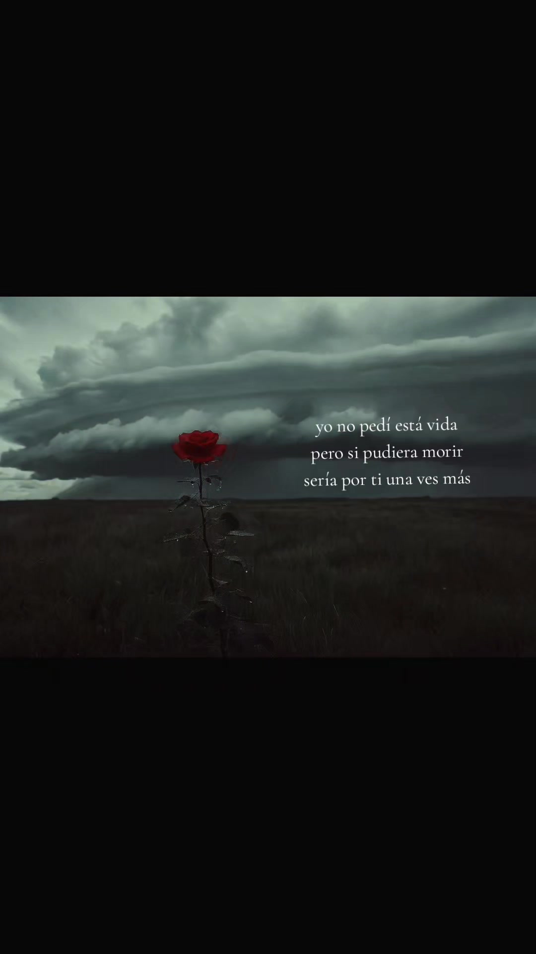 @elckil🍂😞